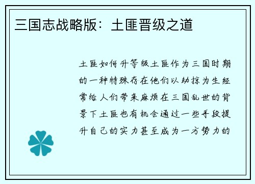 三国志战略版：土匪晋级之道